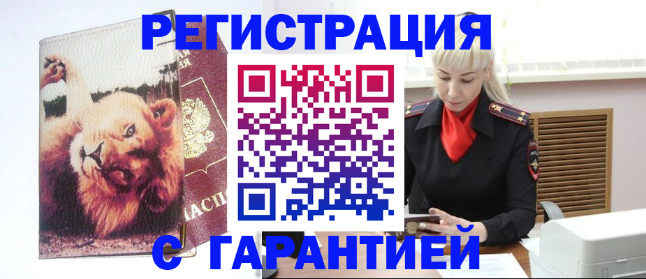 прописка от собственника в Светлогорске